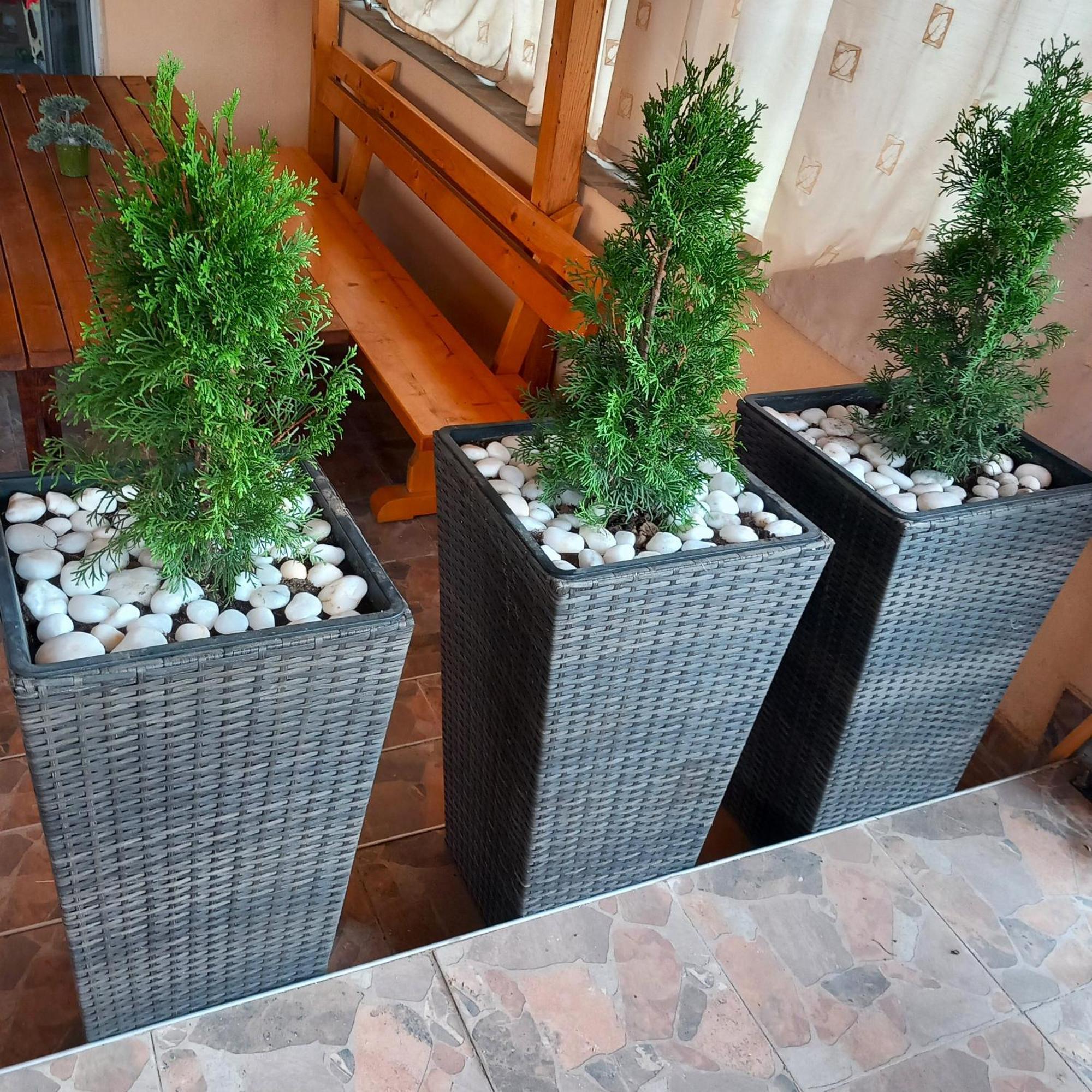 Vibo Guesthouse Sapareva Banya Luaran gambar